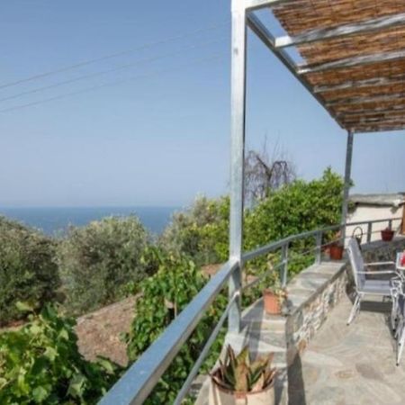 סקופלוס טאון Oneiro Cottage מראה חיצוני תמונה