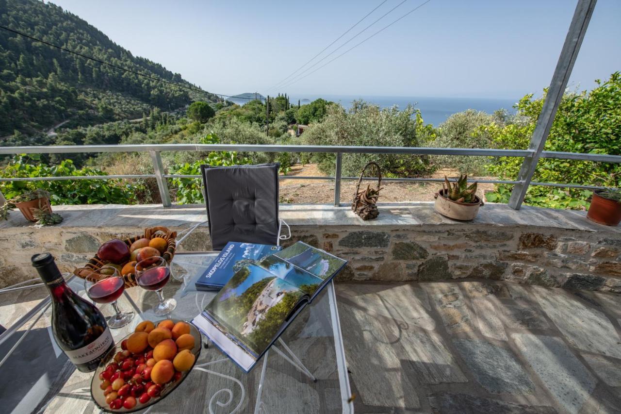 סקופלוס טאון Oneiro Cottage מראה חיצוני תמונה